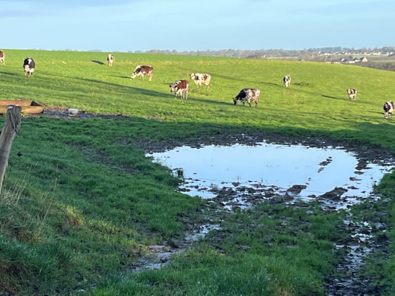 Rando dans la plaine de Fontenay et Rolleville - Fontenay
