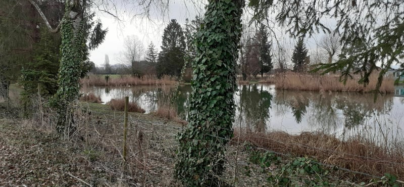Petit tour des 2 étangs. - Bartenheim La Chaussée