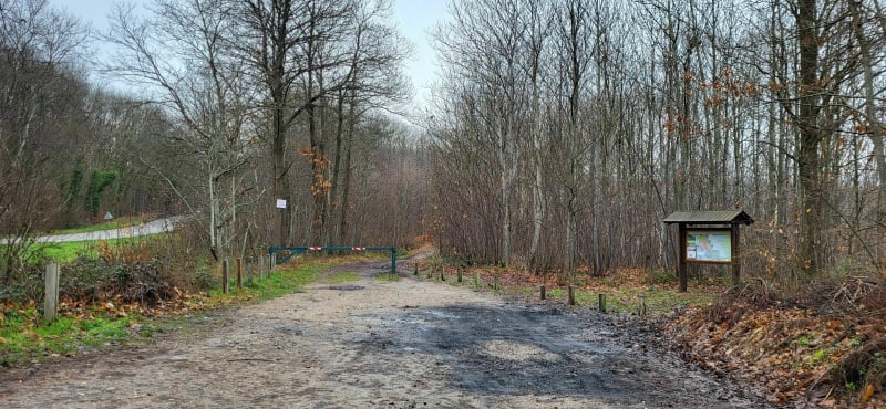 Marche facile à plat dans la forêt  de l'Hautil - Vaux-sur-Seine