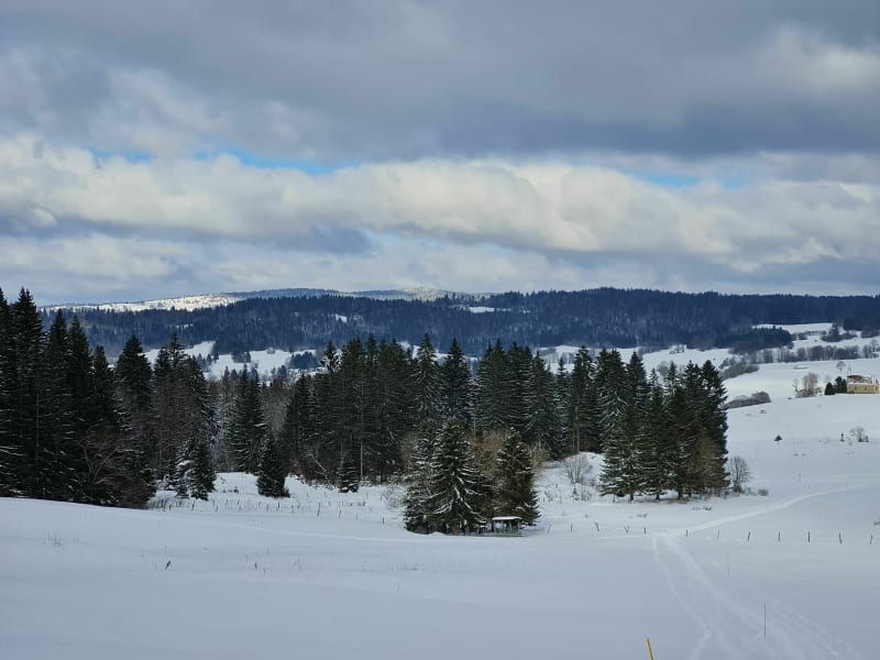 Le Tourillot - Les Fourgs