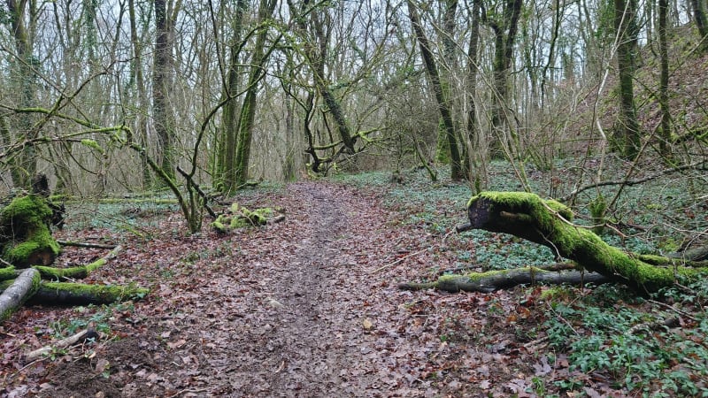 Fort de Plappeville et Croix de Cueilla - Plappeville