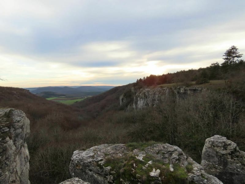 Combe aux mammouths à Lantenay - Lantenay