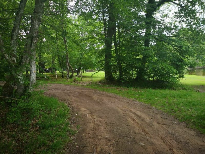 Le "presque" tour de la forêt de Saint-Germain-En-Laye. - Maisons-Laffitte