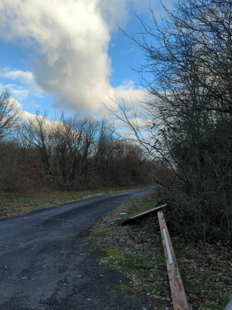 Balade dans la Braconne - Mornac