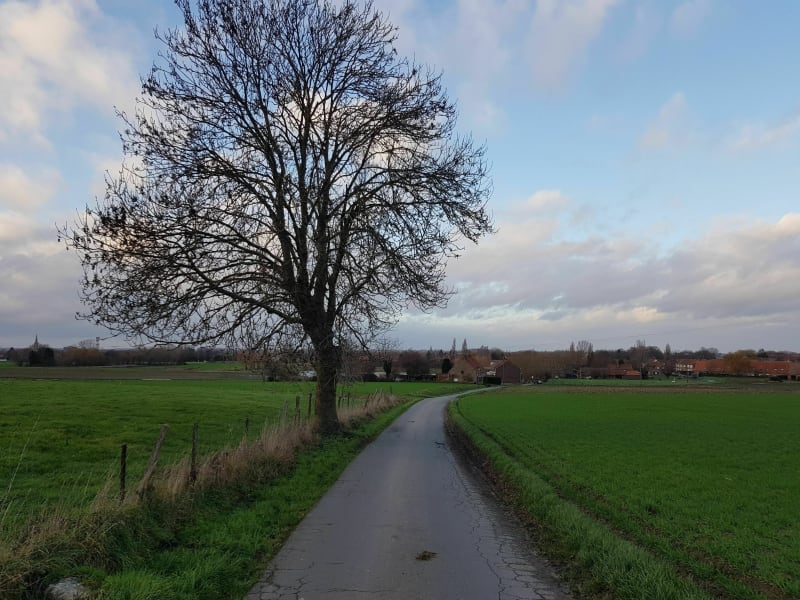 Balade en campagne de Bousbecque - Bousbecque