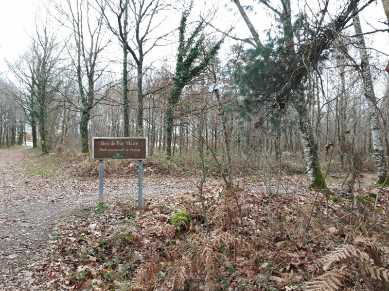Feytiat et le Bois de la Grange - Feytiat