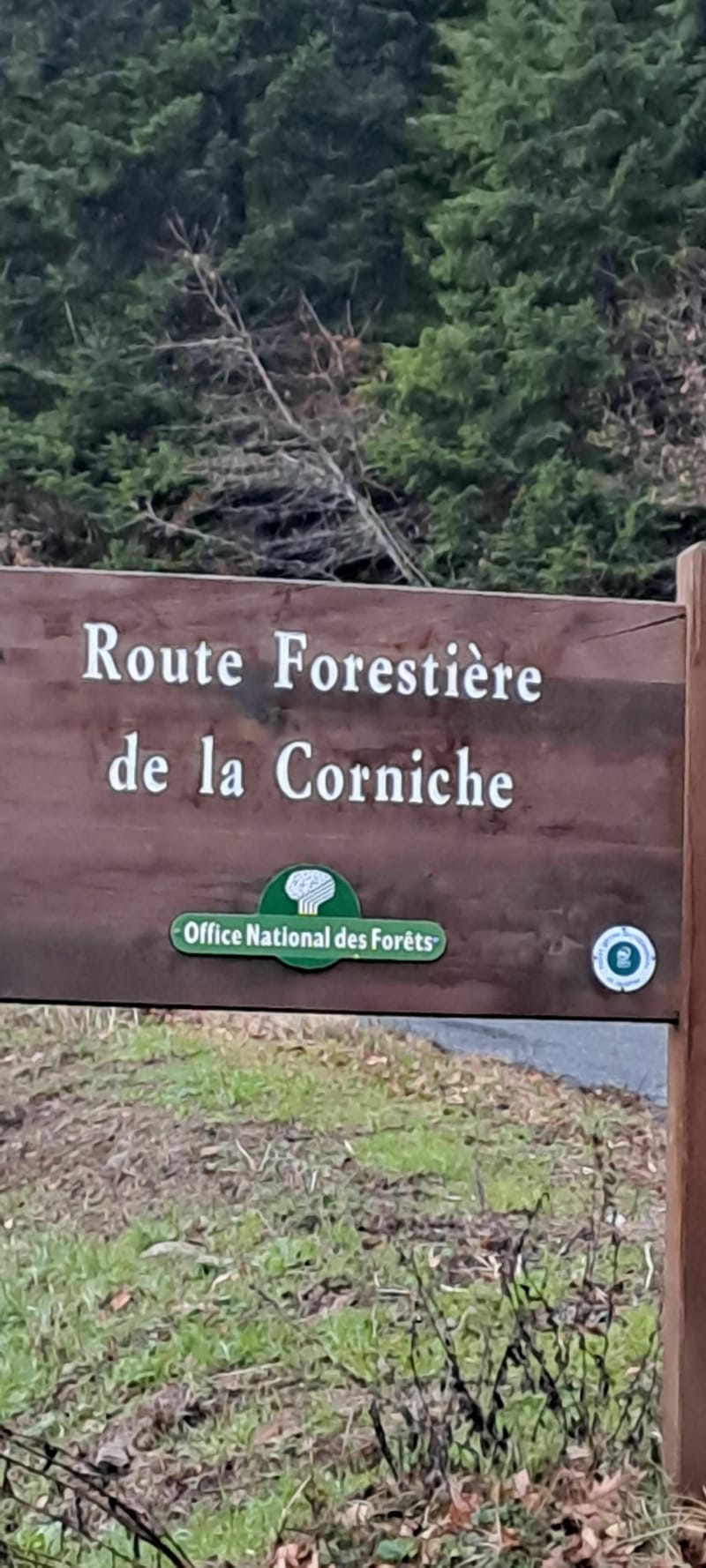 Balade en forêt autour du Col des Thérondels - Courniou
