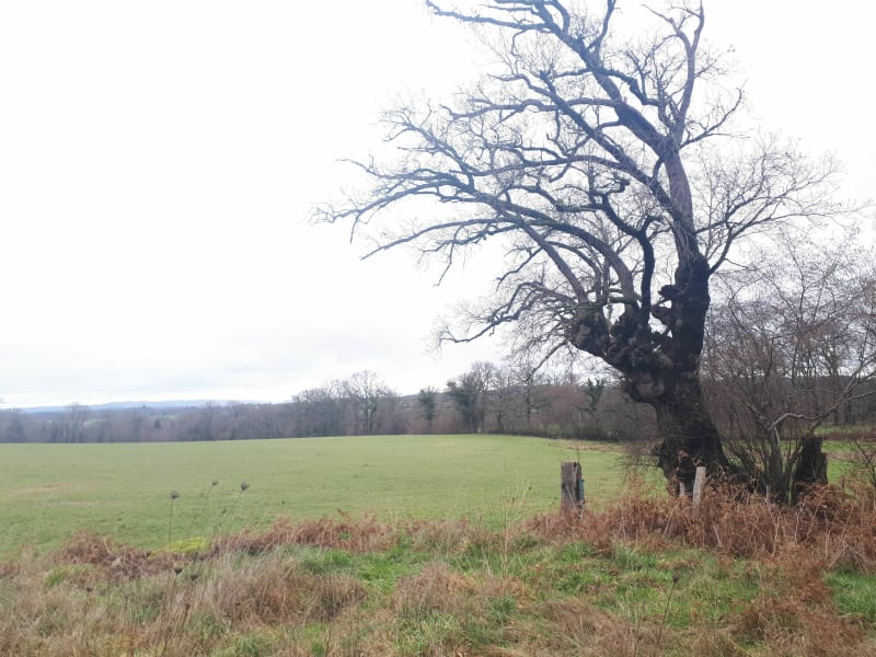 Chaptelat, le Theillol par Puy Lacaud - Chaptelat