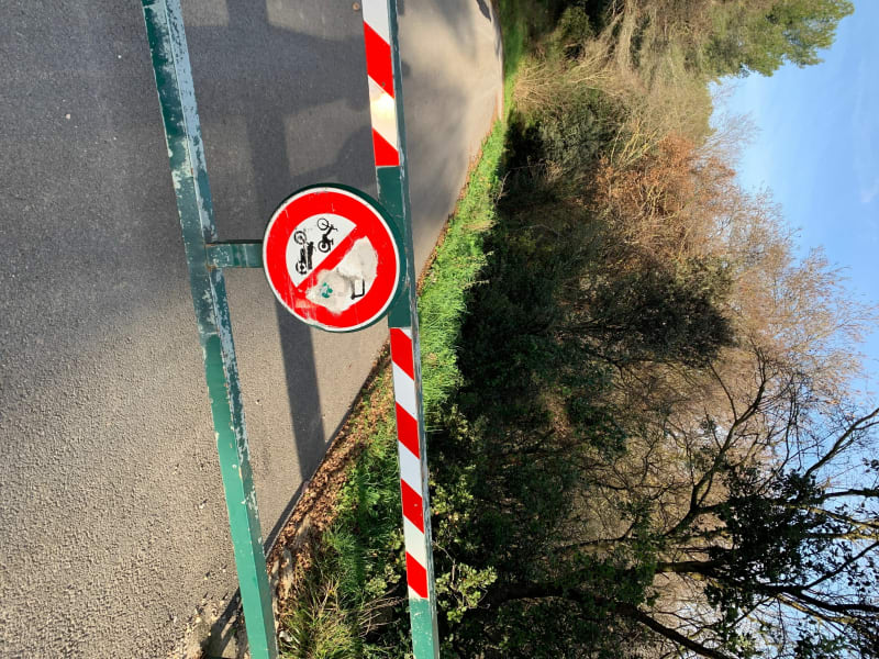 Bords de la Touloubre à Grand - Grans