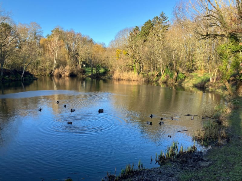 Du Parc des Ulis au parc de la Grande Maison - Les Ulis