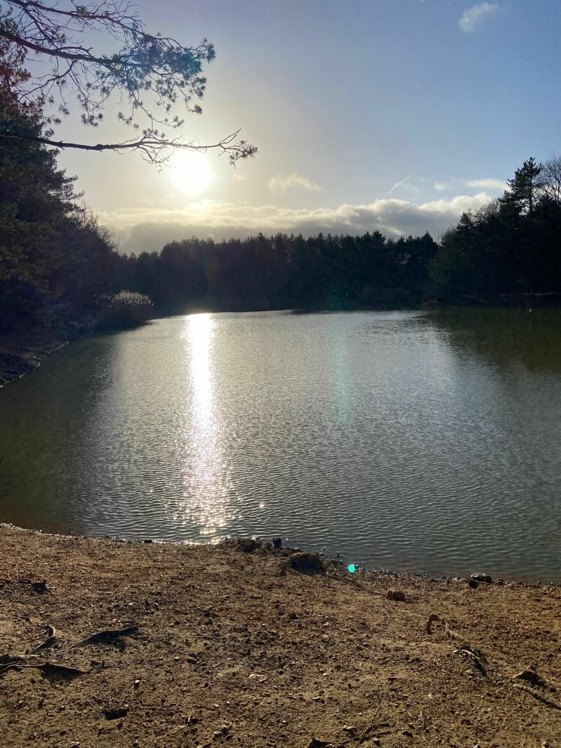 Petit tour dans la forêt de Sénart - Moissy-Cramayel