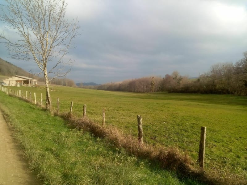 Côte de Montmorin et Mont Genezet à Plainoiseau - Plainoiseau