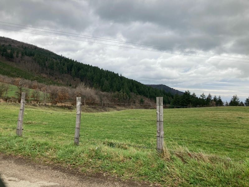 Boucle depuis Les chaux - Saint-Alban-d'Ay