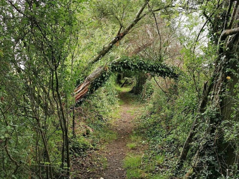 Carcès et les Chutes du Caramy - Carcès