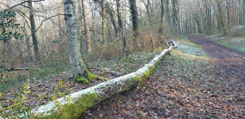 Entre Fléré et Saint Cyran du Jambot - Fléré-la-Rivière