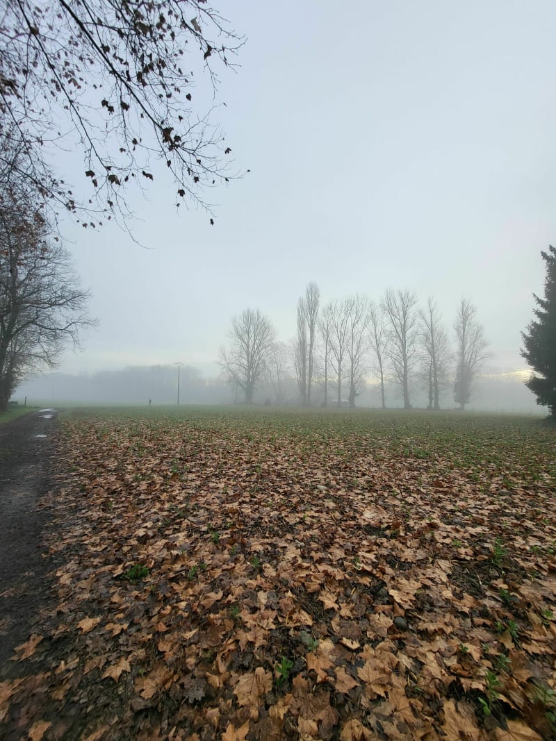 Campagne tarbaise vers Juillan - Tarbes