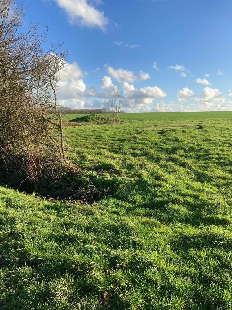 Saligny métropole - Bellevigny