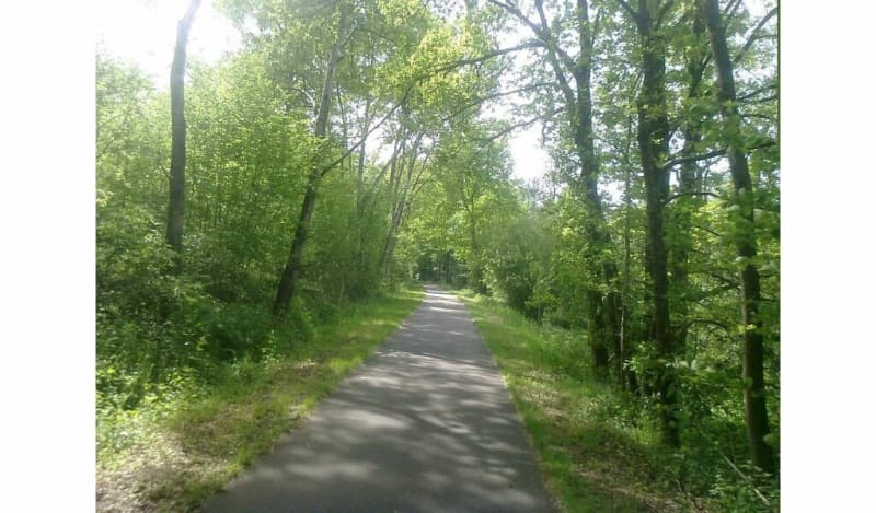 Aller-retour le long de l'Avelon - Saint-Paul