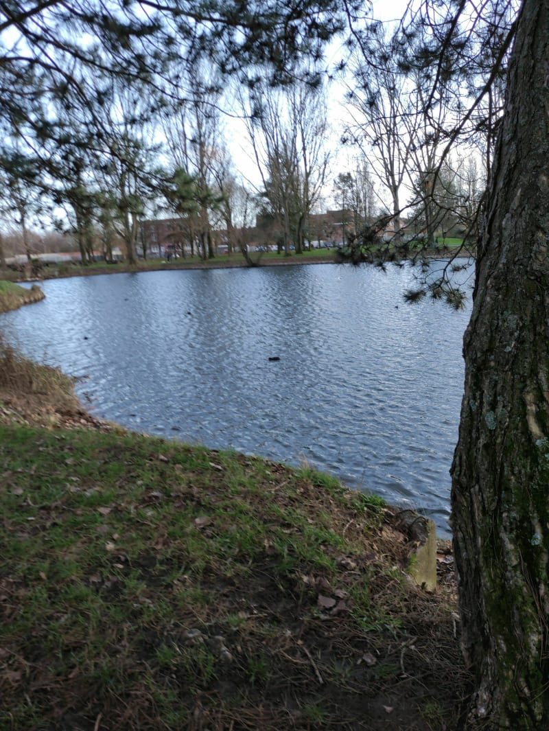 Marche à Armentières au lac l'étang bleu - Armentières