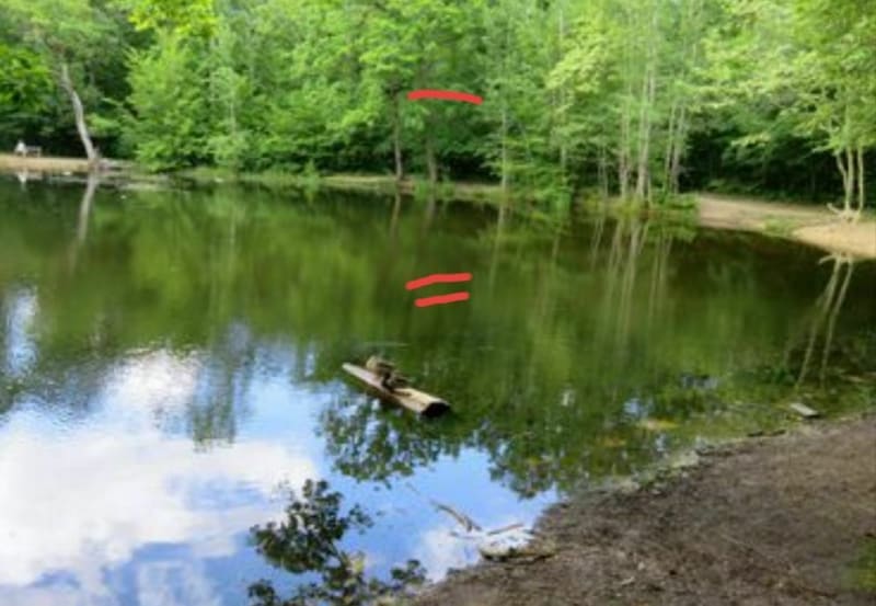 Boucle dans la forêt de Saint Germain en Laye - Maisons-Laffitte