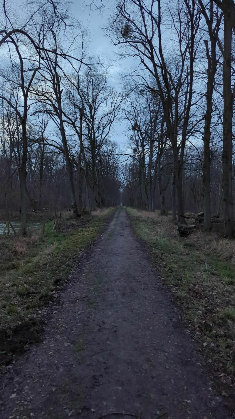Boucle dans le Bois Saint-Martin - Noisy-le-Grand