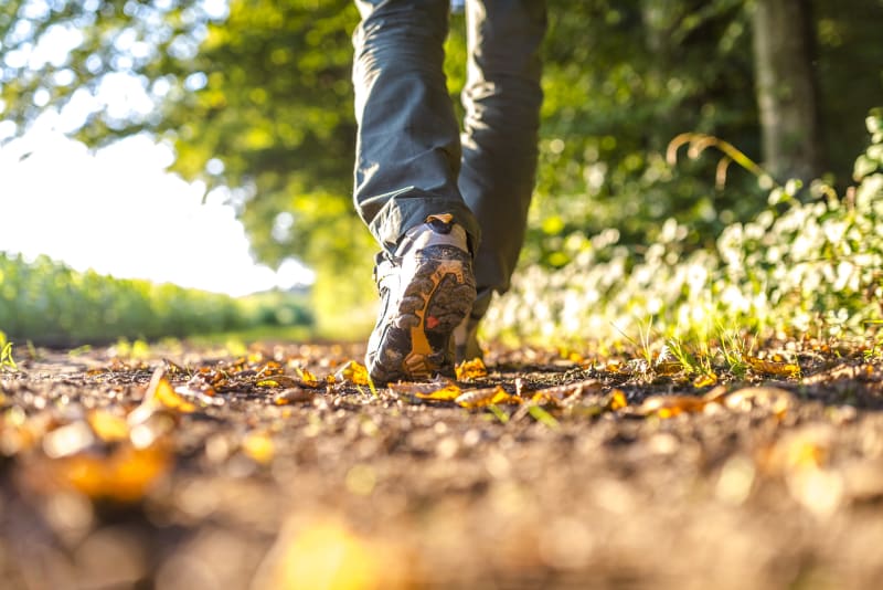 Trail des lions nocturne - Plauzat
