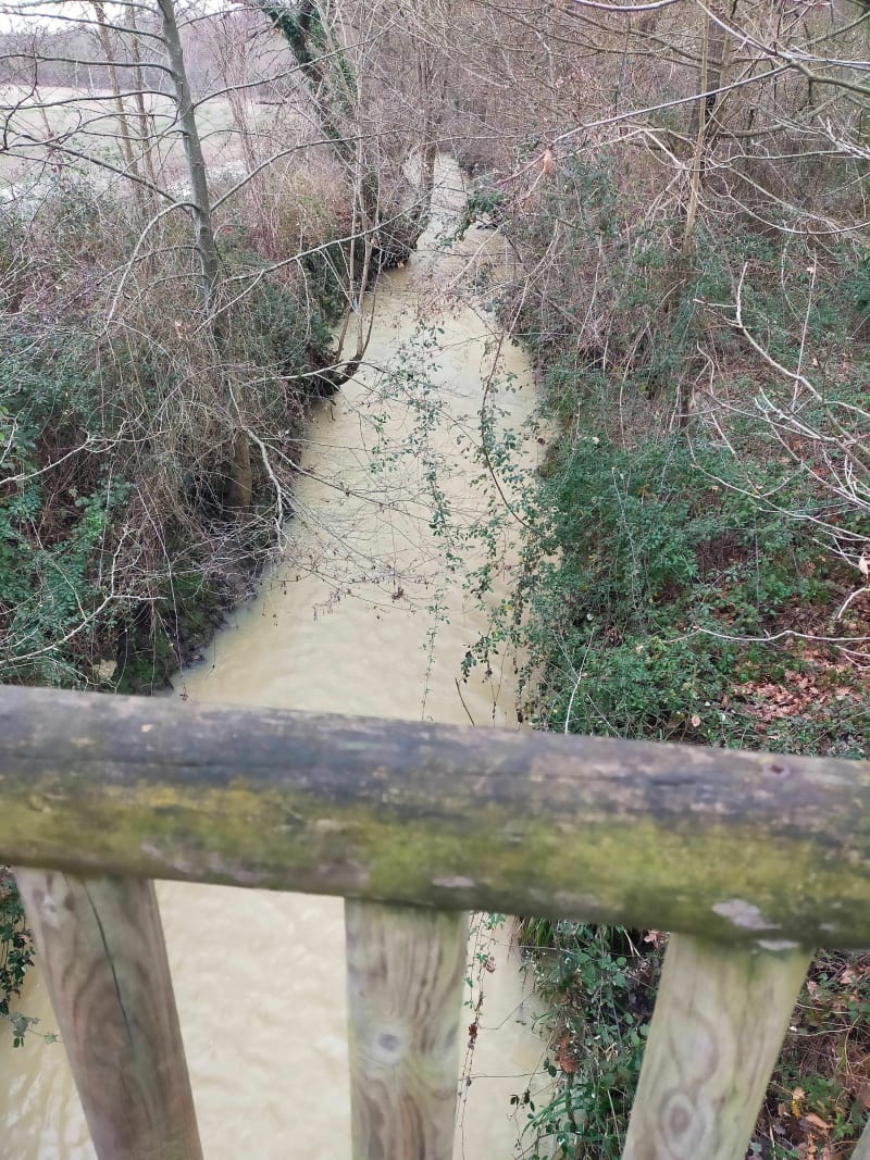 Balade à Pibrac, près du Courbet - Pibrac