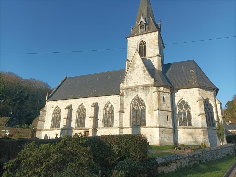 Petite balade en forêt de Maulévrier - Maulévrier-Sainte-Gertrude