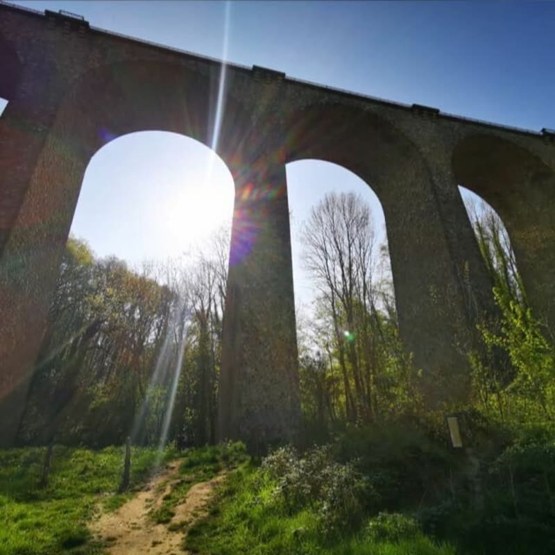 Boucle Parc Nord des Ulis - Viaduc des fauvettes - Les Ulis