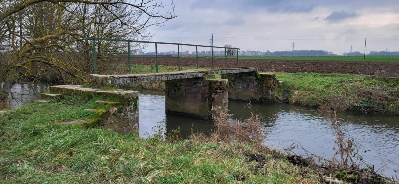 Entre Ergelsenbach et Andlau - Lipsheim