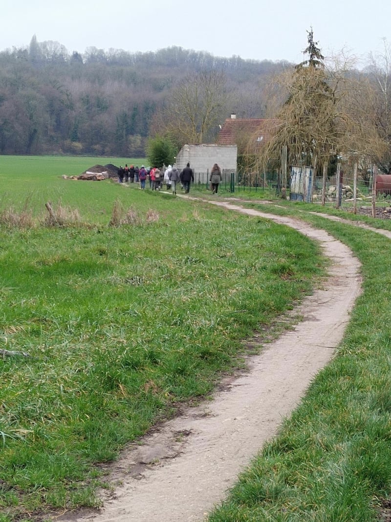 Dans le marais et le chemin du tacot à Saint Cyr sur Morin - Saint-Cyr-sur-Morin