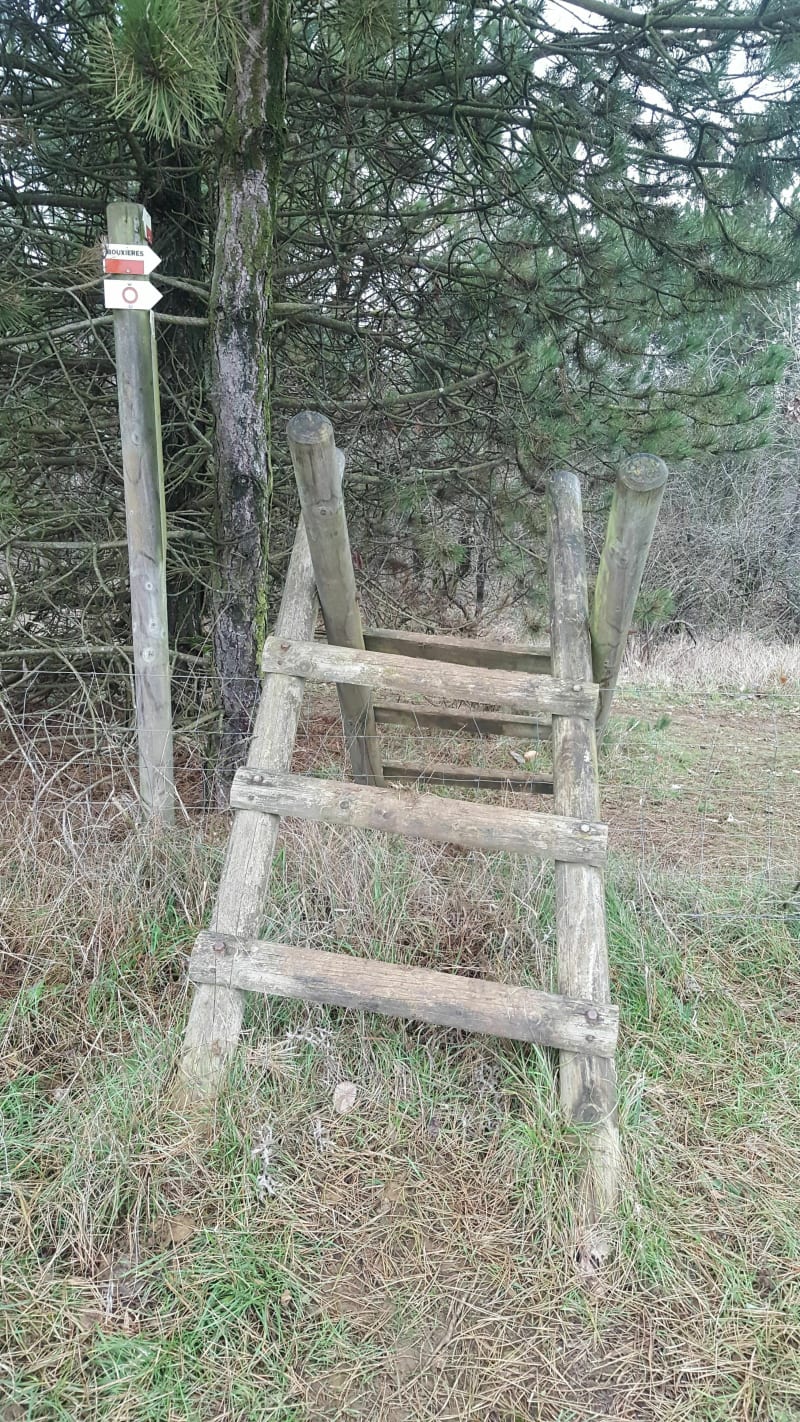Balade au Froidmont - Bouxières sous Froidmont