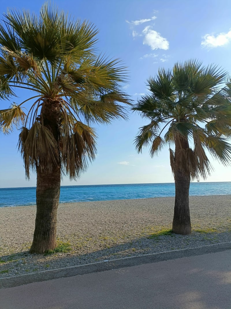 Balade le long de la côte entre Cagnes sur Mer et Antibes - Cagnes-sur-Mer