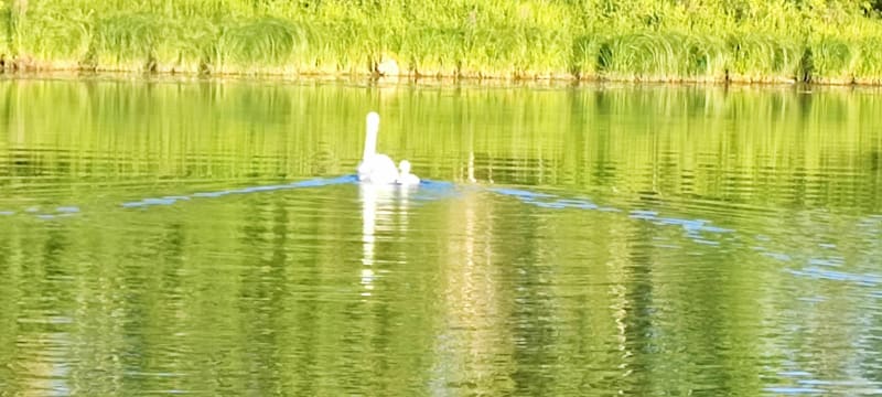 Balade en pleine nature de Boz - Boz