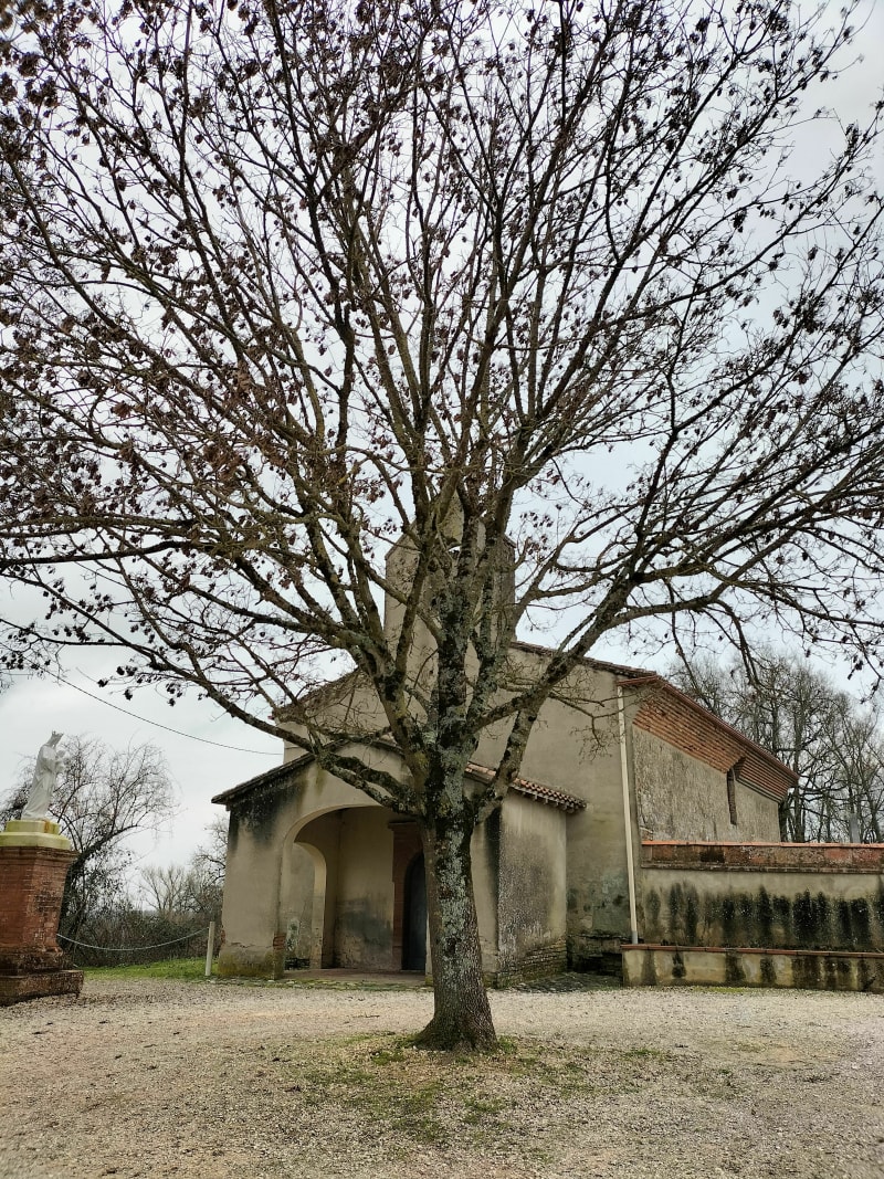 Randonnée PR2 Albefeuille-Lagarde - La ville-Dieu-du-Temple