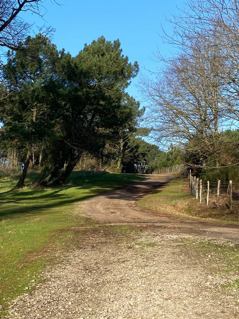 Chemins entre La Chapelle et La Milesse - La Chapelle-Saint-Aubin