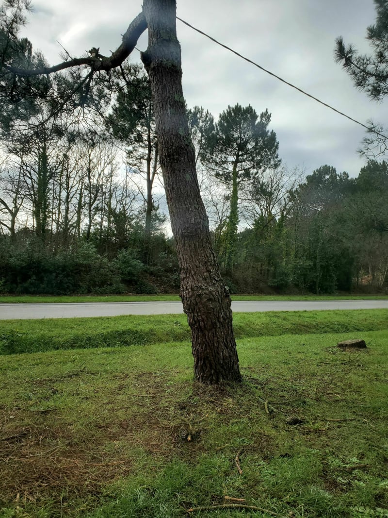 Lannénec, Ploemeur - Ploemeur