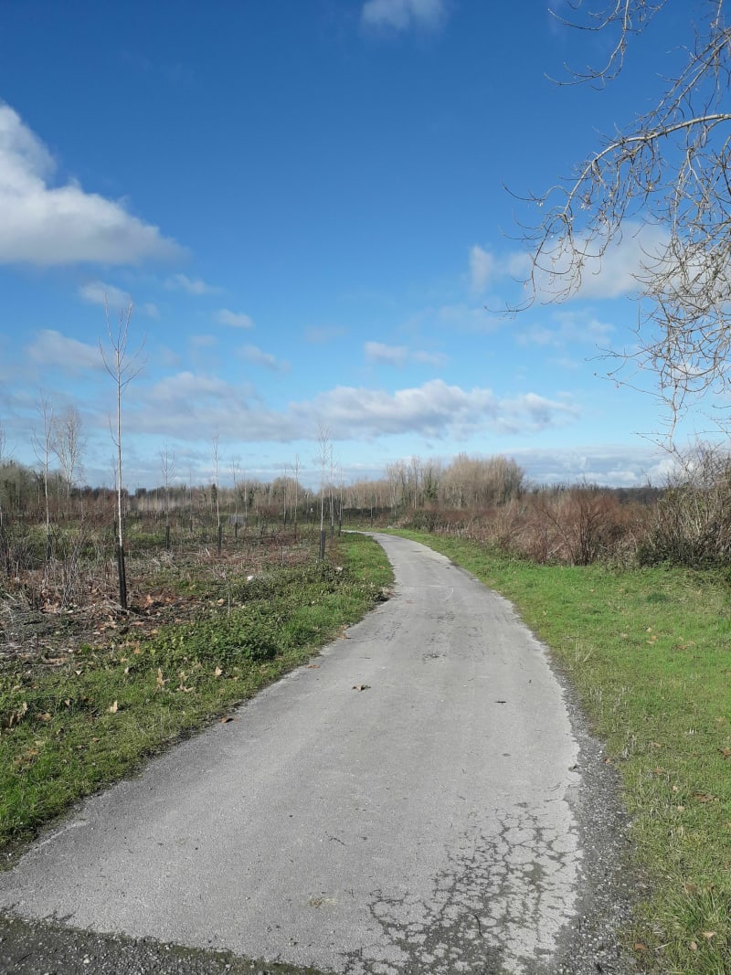 Petite boucle Arbus et berges du Gave - Arbus