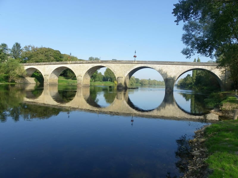 Campagne de Dangé Saint Romain - Saint Romain