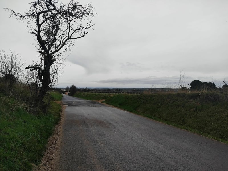 Petite balade entre les vignobles de Pinet et Pomérois - Pinet