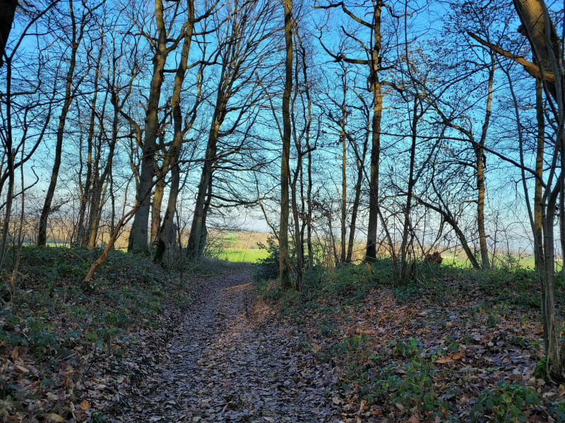 Arnouville à Rosay par les bois de Septeuil - Arnouville-lès-Mantes