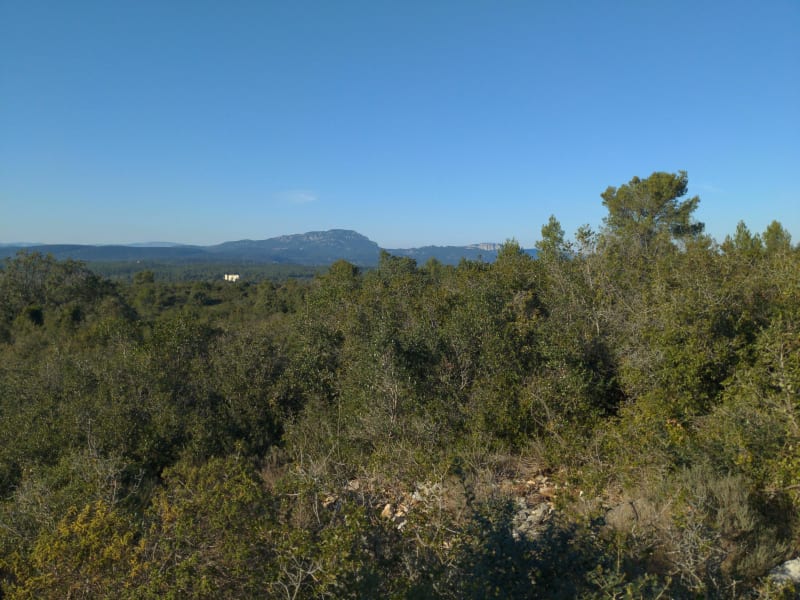 Prades le Lez - Saint Vincent de Barbeyrac - Prades