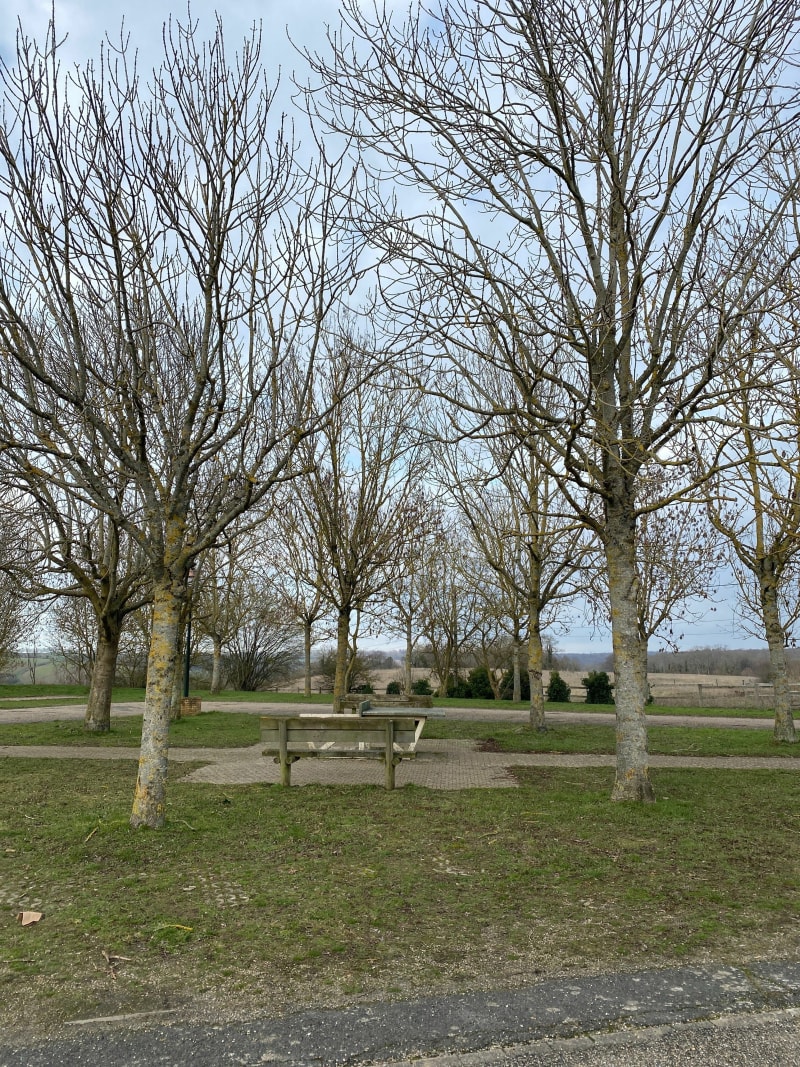 Walking Genainville Bois de Morlu - Genainville