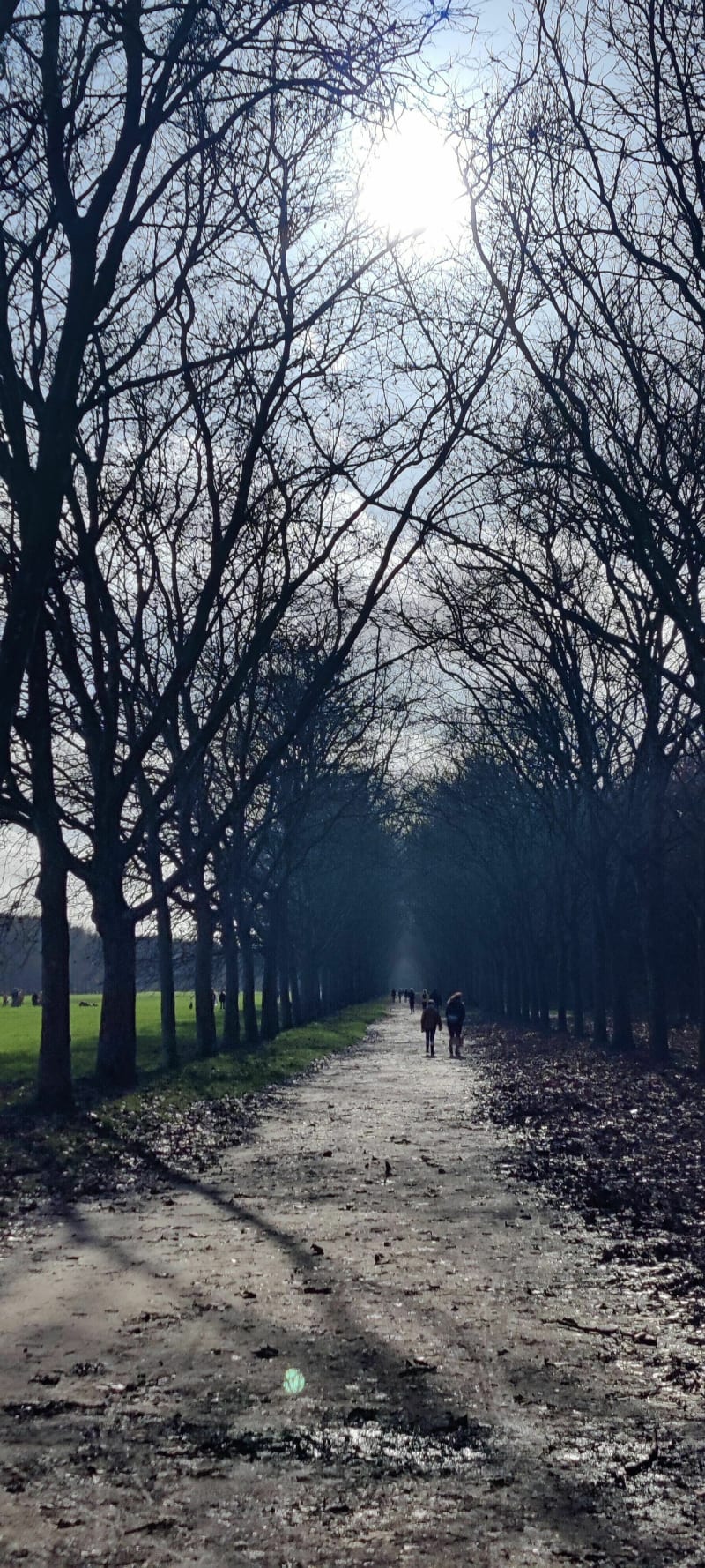 Balade au bois de Vincennes - Charenton le pont