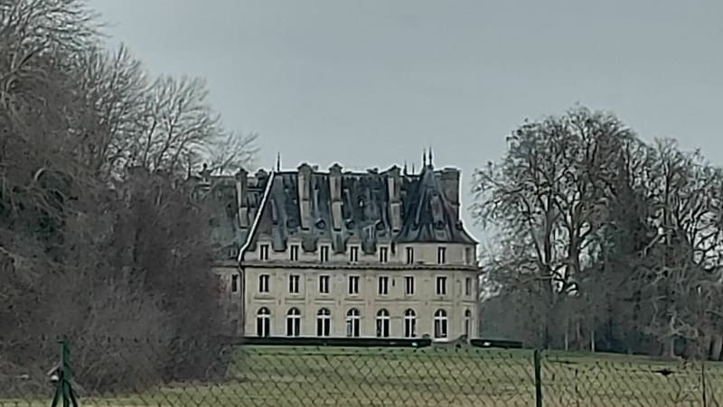 Très belle balade en forêt de Laigue - Choisy-au-Bac