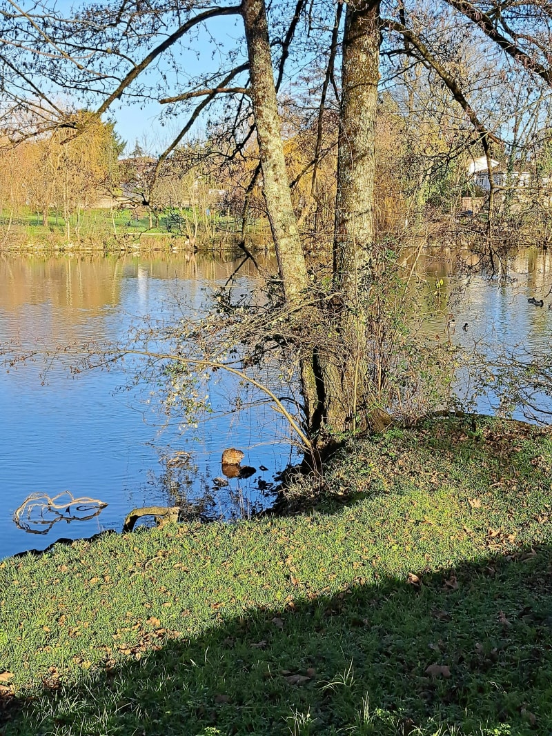 Balade à Saint-Cybard - Angoulême