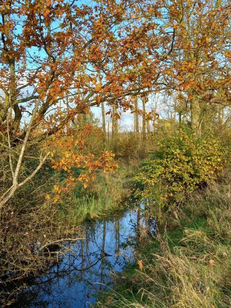Sentier des Etoquies à Landrecies - Landrecies