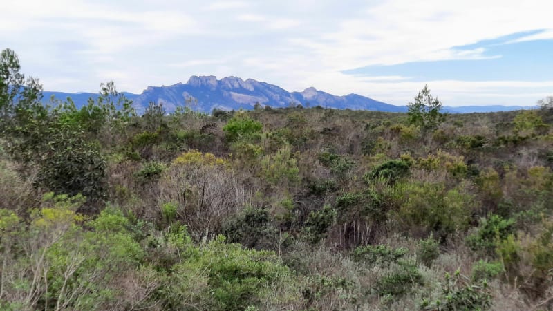 Les Terres Gastes, la Tranchée, petits lacs et forêt - Puget-sur-Argens