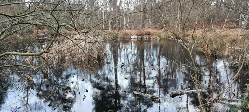 Sur les traces des carriers - Fontainebleau