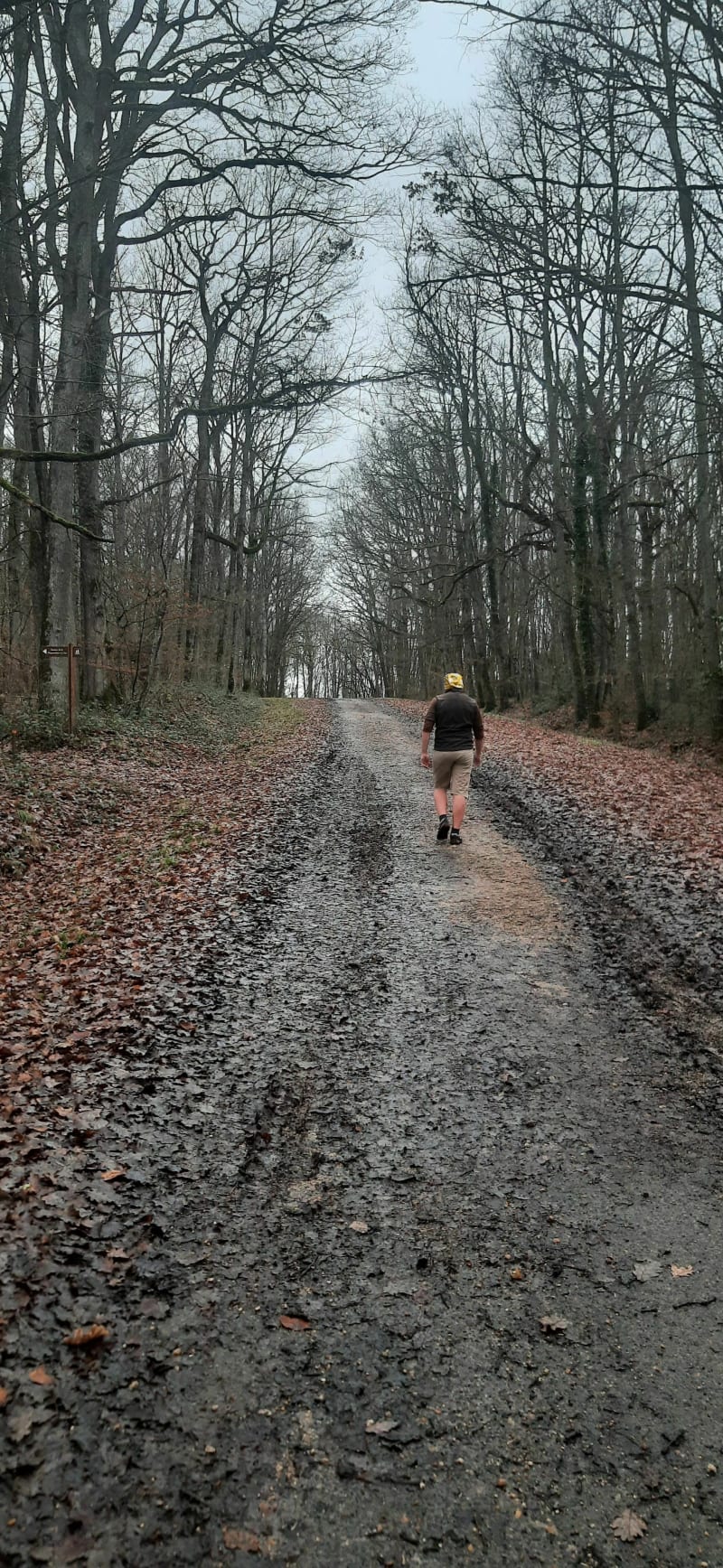Tour de forêt et du Lac de la Pinçonnière - Blois